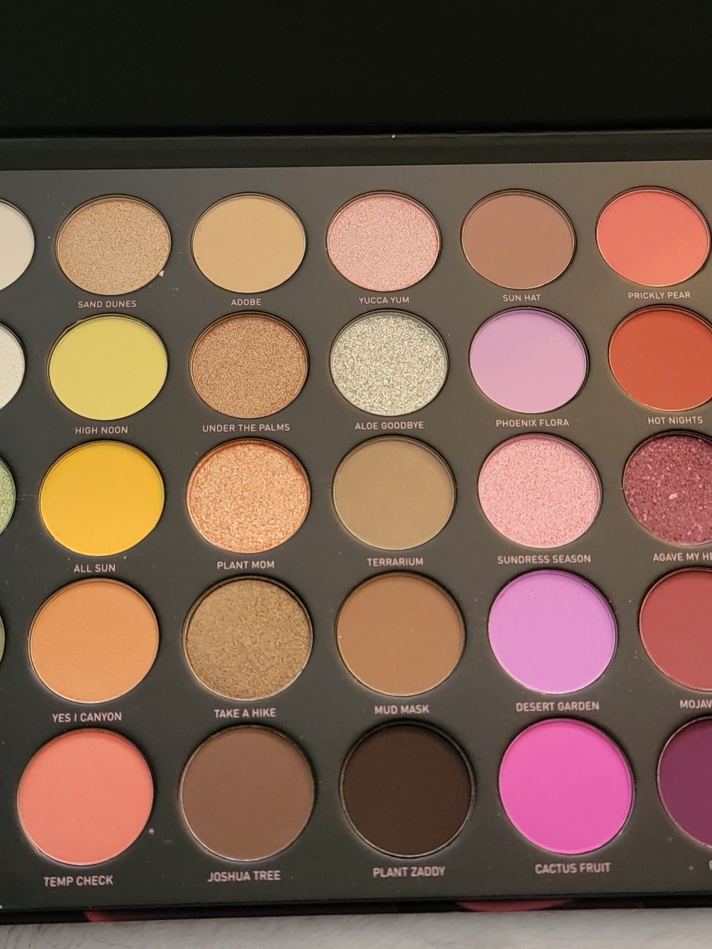Morphe Desert Rose Palette